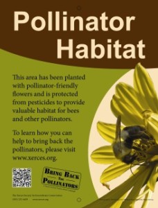 pollinator habitat